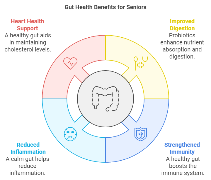 gut health benefit image